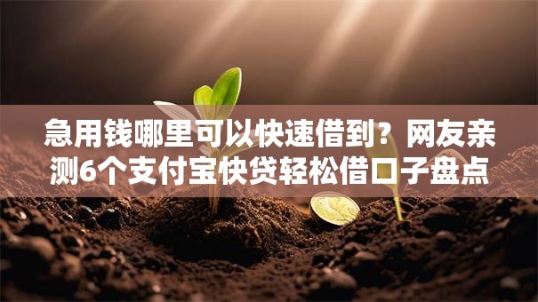 急用钱哪里可以快速借到?网友亲测6个支付宝快贷轻松借口子盘点 急用钱哪里可以快速借到?网友亲测6个支付宝快贷轻松借口子盘点