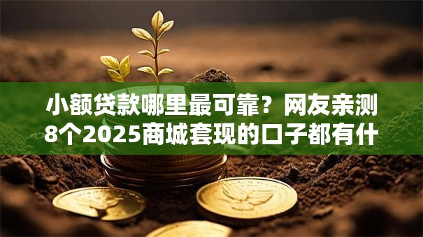小额贷款哪里最可靠？网友亲测8个2025商城套现的口子都有什么盘点