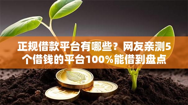 正规借款平台有哪些？网友亲测5个借钱的平台100%能借到盘点