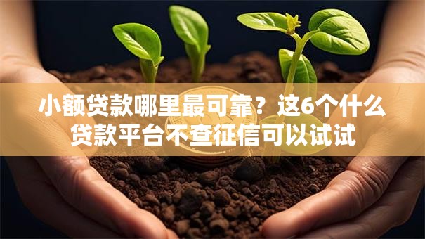 小额贷款哪里最可靠？这6个什么贷款平台不查征信可以试试
