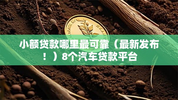 小额贷款哪里最可靠(最新发布!)8个汽车贷款平台 小额贷款哪里最可靠(最新发布!)8个汽车贷款平台