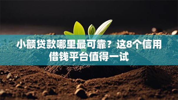 小额贷款哪里最可靠?这8个信用借钱平台值得一试 小额贷款哪里最可靠?这8个信用借钱平台值得一试