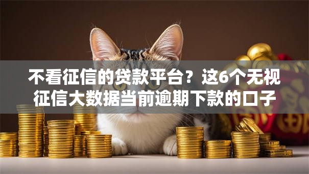 不看征信的贷款平台?这6个无视征信大数据当前逾期下款的口子值得一试 不看征信的贷款平台?这6个无视征信大数据当前逾期下款的口子值得一试
