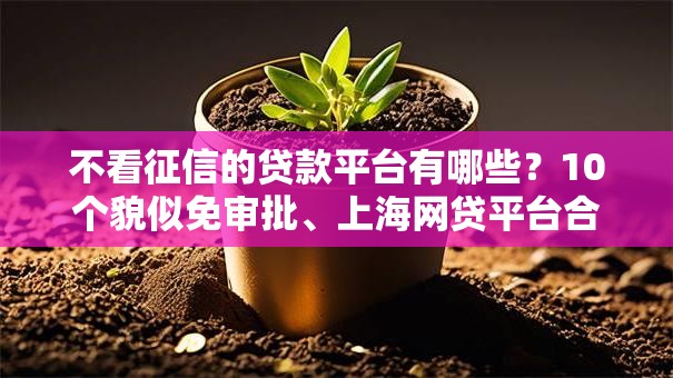 不看征信的贷款平台有哪些?10个貌似免审批、上海网贷平台合集 不看征信的贷款平台有哪些?10个貌似免审批、上海网贷平台合集
