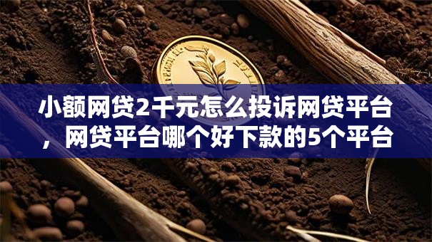 小额网贷2千元怎么投诉网贷平台，网贷平台哪个好下款的5个平台介绍
