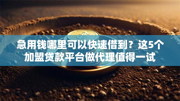 急用钱哪里可以快速借到？这5个加盟贷款平台做代理值得一试