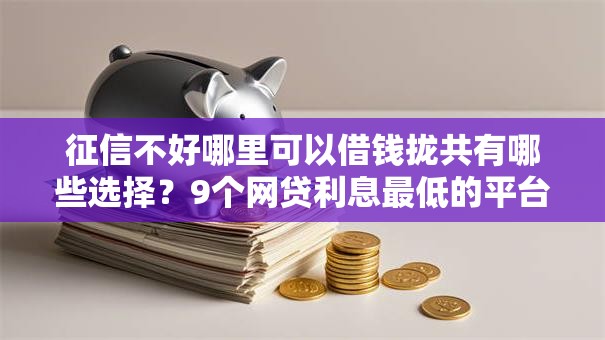 征信不好哪里可以借钱拢共有哪些选择？9个网贷利息最低的平台详解