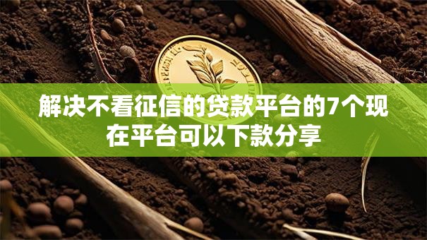 解决不看征信的贷款平台的7个现在平台可以下款分享 解决不看征信的贷款平台的7个现在平台可以下款分享