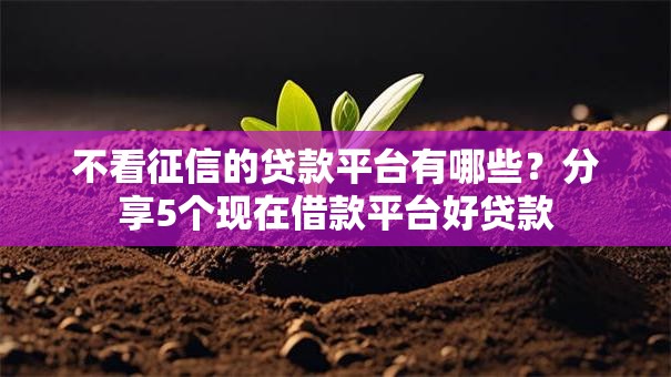 不看征信的贷款平台有哪些？分享5个现在借款平台好贷款