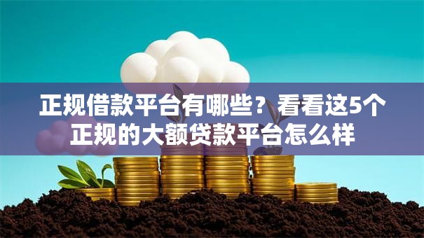 正规借款平台有哪些?看看这5个正规的大额贷款平台怎么样 正规借款平台有哪些?看看这5个正规的大额贷款平台怎么样