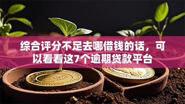 综合评分不足去哪借钱的话,可以看看这7个逾期贷款平台 综合评分不足去哪借钱的话,可以看看这7个逾期贷款平台