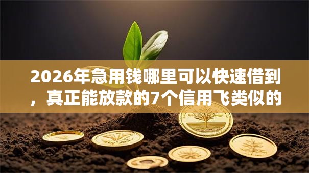 2026年急用钱哪里可以快速借到,真正能放款的7个信用飞类似的口子推荐 2026年急用钱哪里可以快速借到,真正能放款的7个信用飞类似的口子推荐
