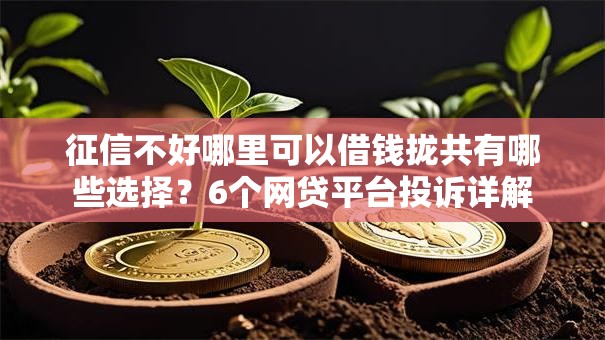 征信不好哪里可以借钱拢共有哪些选择？6个网贷平台投诉详解