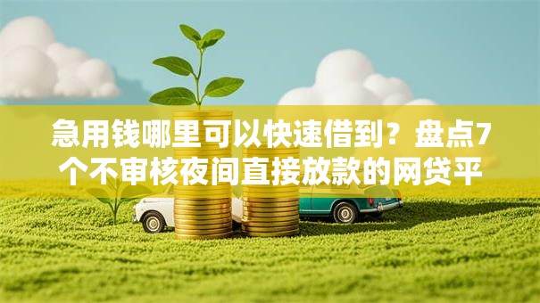 急用钱哪里可以快速借到？盘点7个不审核夜间直接放款的网贷平台给你参考
