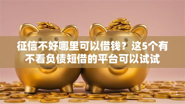 征信不好哪里可以借钱？这5个有不看负债短借的平台可以试试