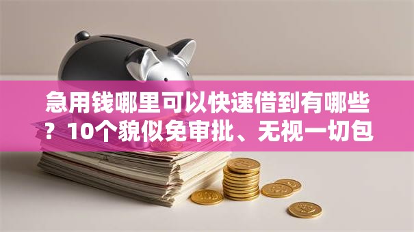 急用钱哪里可以快速借到有哪些？10个貌似免审批、无视一切包下款5000秒下款的口子合集