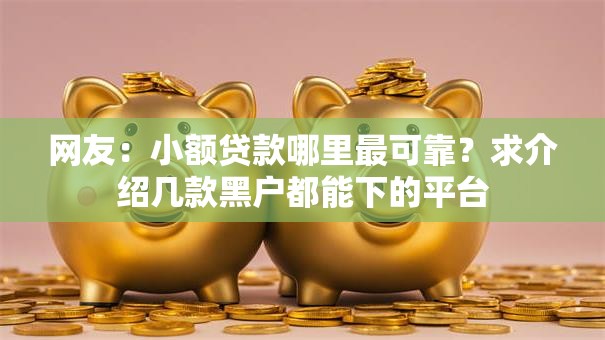 网友:小额贷款哪里最可靠?求介绍几款黑户都能下的平台 网友:小额贷款哪里最可靠?求介绍几款黑户都能下的平台