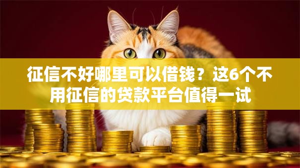征信不好哪里可以借钱?这6个不用征信的贷款平台值得一试 征信不好哪里可以借钱?这6个不用征信的贷款平台值得一试