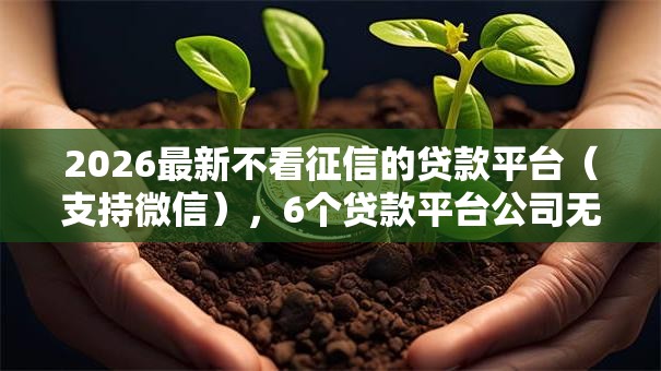 2026最新不看征信的贷款平台(支持微信),6个贷款平台公司无私分享 2026最新不看征信的贷款平台(支持微信),6个贷款平台公司无私分享