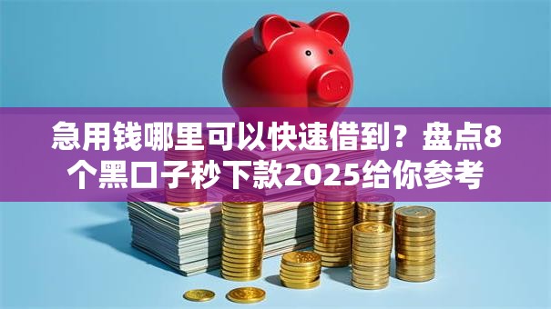 急用钱哪里可以快速借到?盘点8个黑口子秒下款2025给你参考 急用钱哪里可以快速借到?盘点8个黑口子秒下款2025给你参考