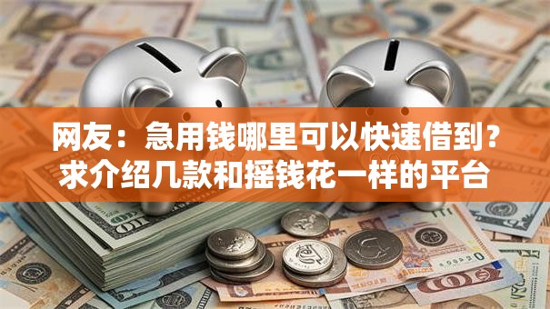 网友:急用钱哪里可以快速借到?求介绍几款和摇钱花一样的平台 网友:急用钱哪里可以快速借到?求介绍几款和摇钱花一样的平台