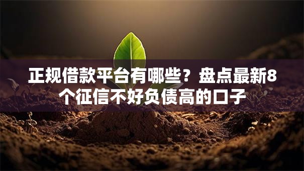 正规借款平台有哪些？盘点最新8个征信不好负债高的口子