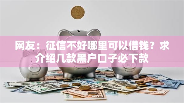 网友:征信不好哪里可以借钱?求介绍几款黑户口子必下款 网友:征信不好哪里可以借钱?求介绍几款黑户口子必下款