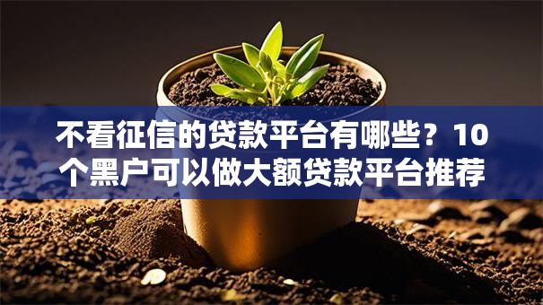 不看征信的贷款平台有哪些?10个黑户可以做大额贷款平台推荐给你 不看征信的贷款平台有哪些?10个黑户可以做大额贷款平台推荐给你