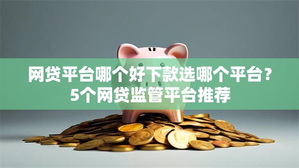 网贷平台哪个好下款选哪个平台?5个网贷监管平台推荐 网贷平台哪个好下款选哪个平台?5个网贷监管平台推荐