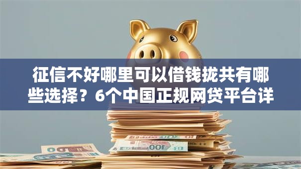 征信不好哪里可以借钱拢共有哪些选择？6个中国正规网贷平台详解