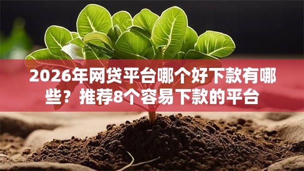 2026年网贷平台哪个好下款有哪些?推荐8个容易下款的平台 2026年网贷平台哪个好下款有哪些?推荐8个容易下款的平台