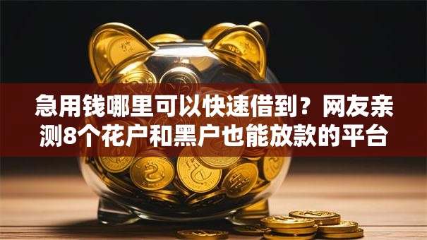 急用钱哪里可以快速借到?网友亲测8个花户和黑户也能放款的平台盘点 急用钱哪里可以快速借到?网友亲测8个花户和黑户也能放款的平台盘点