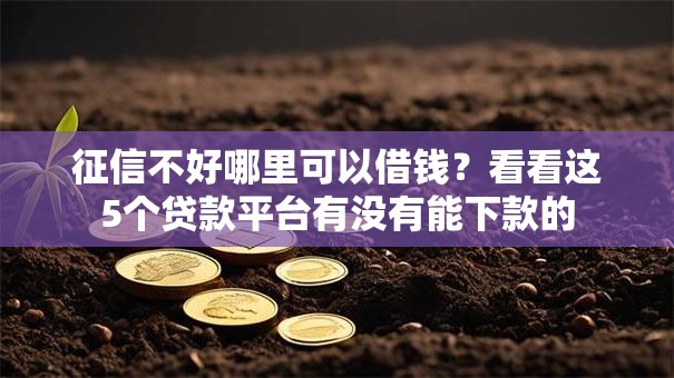 征信不好哪里可以借钱?看看这5个贷款平台有没有能下款的 征信不好哪里可以借钱?看看这5个贷款平台有没有能下款的
