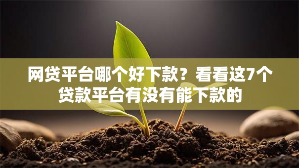 网贷平台哪个好下款？看看这7个贷款平台有没有能下款的