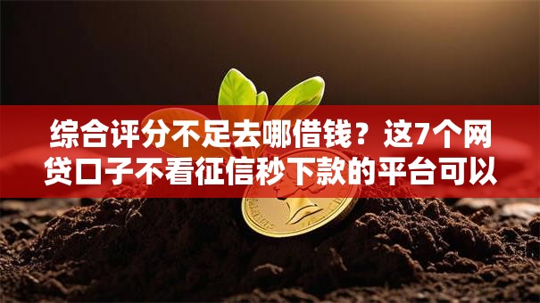 综合评分不足去哪借钱？这7个网贷口子不看征信秒下款的平台可以试试