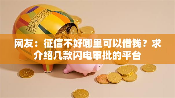 网友：征信不好哪里可以借钱？求介绍几款闪电审批的平台