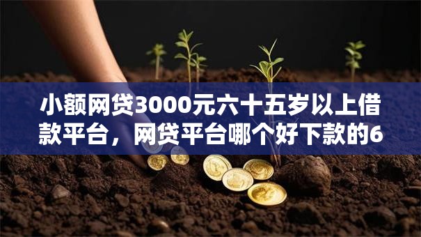 小额网贷3000元六十五岁以上借款平台，网贷平台哪个好下款的6个平台介绍