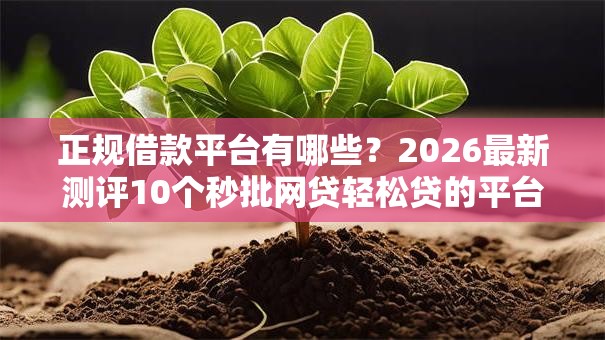 正规借款平台有哪些?2026最新测评10个秒批网贷轻松贷的平台 正规借款平台有哪些?2026最新测评10个秒批网贷轻松贷的平台