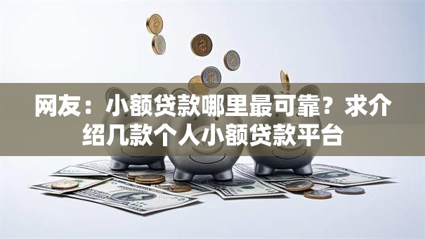 网友：小额贷款哪里最可靠？求介绍几款个人小额贷款平台