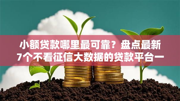 小额贷款哪里最可靠?盘点最新7个不看征信大数据的贷款平台一定能下款 小额贷款哪里最可靠?盘点最新7个不看征信大数据的贷款平台一定能下款