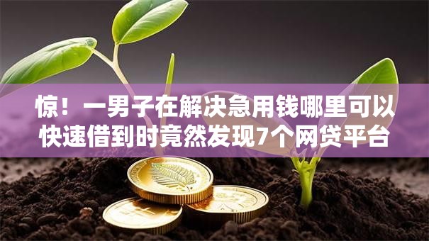 惊!一男子在解决急用钱哪里可以快速借到时竟然发现7个网贷平台可以贷款,事后分享了出来 惊!一男子在解决急用钱哪里可以快速借到时竟然发现7个网贷平台可以贷款,事后分享了出来