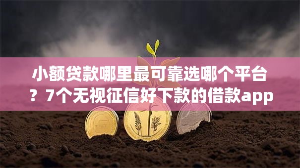 小额贷款哪里最可靠选哪个平台？7个无视征信好下款的借款app推荐