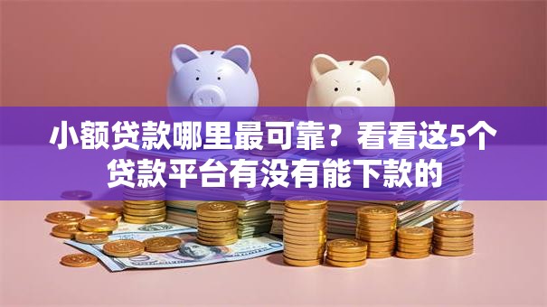 小额贷款哪里最可靠？看看这5个贷款平台有没有能下款的