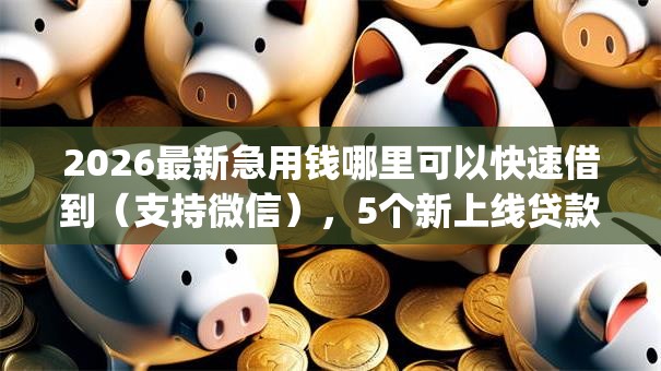 2026最新急用钱哪里可以快速借到（支持微信），5个新上线贷款平台门槛低app无私分享
