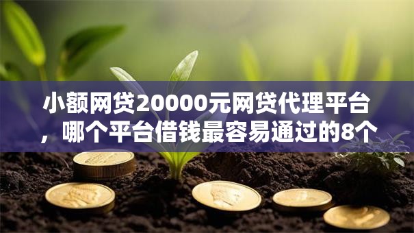 小额网贷20000元网贷代理平台，哪个平台借钱最容易通过的8个平台介绍