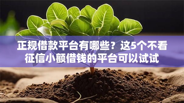 正规借款平台有哪些？这5个不看征信小额借钱的平台可以试试