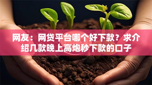 网友：网贷平台哪个好下款？求介绍几款晚上高炮秒下款的口子