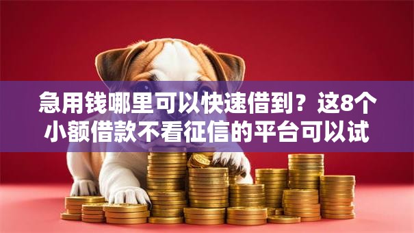 急用钱哪里可以快速借到？这8个小额借款不看征信的平台可以试试