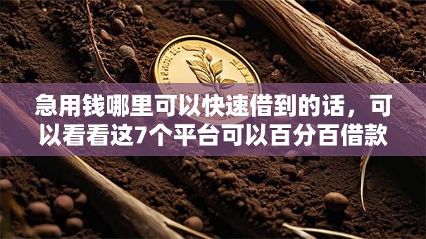 急用钱哪里可以快速借到的话，可以看看这7个平台可以百分百借款网贷