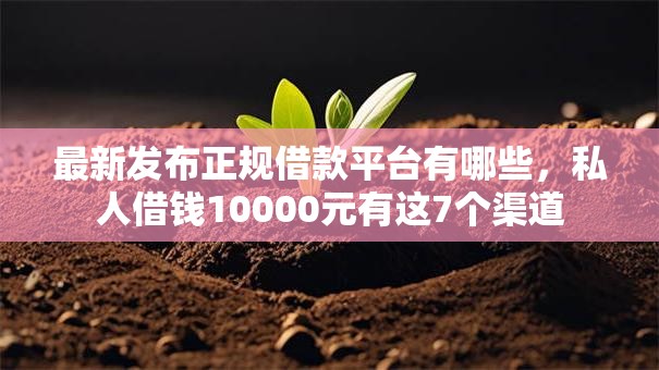 最新发布正规借款平台有哪些，私人借钱10000元有这7个渠道